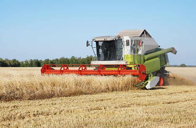 landwirtschaft2.jpg