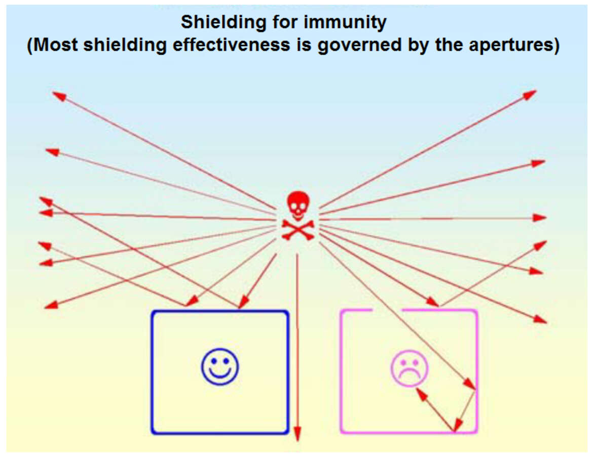 Shielding for immunity