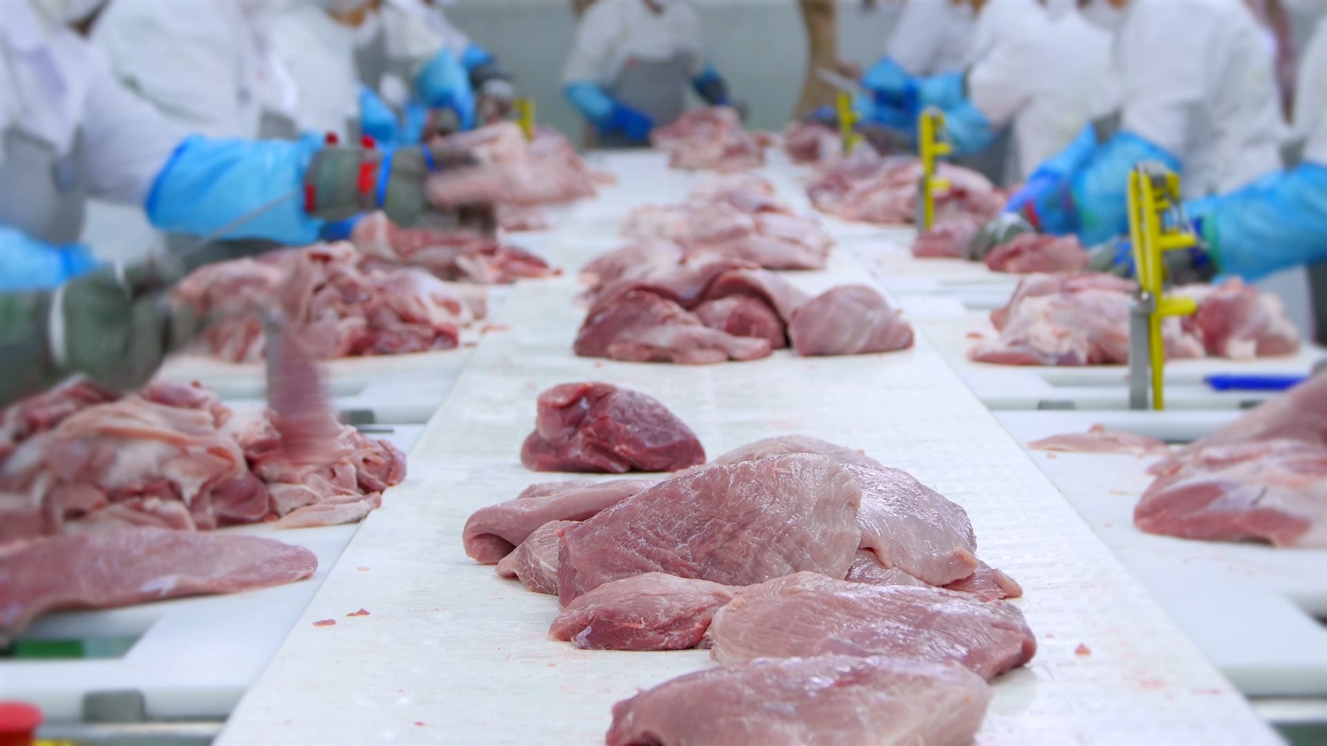 PROCESSAMENTO DE ALIMENTOS TOUCH SCREEN carne em uma mesa com pessoas ao fundo